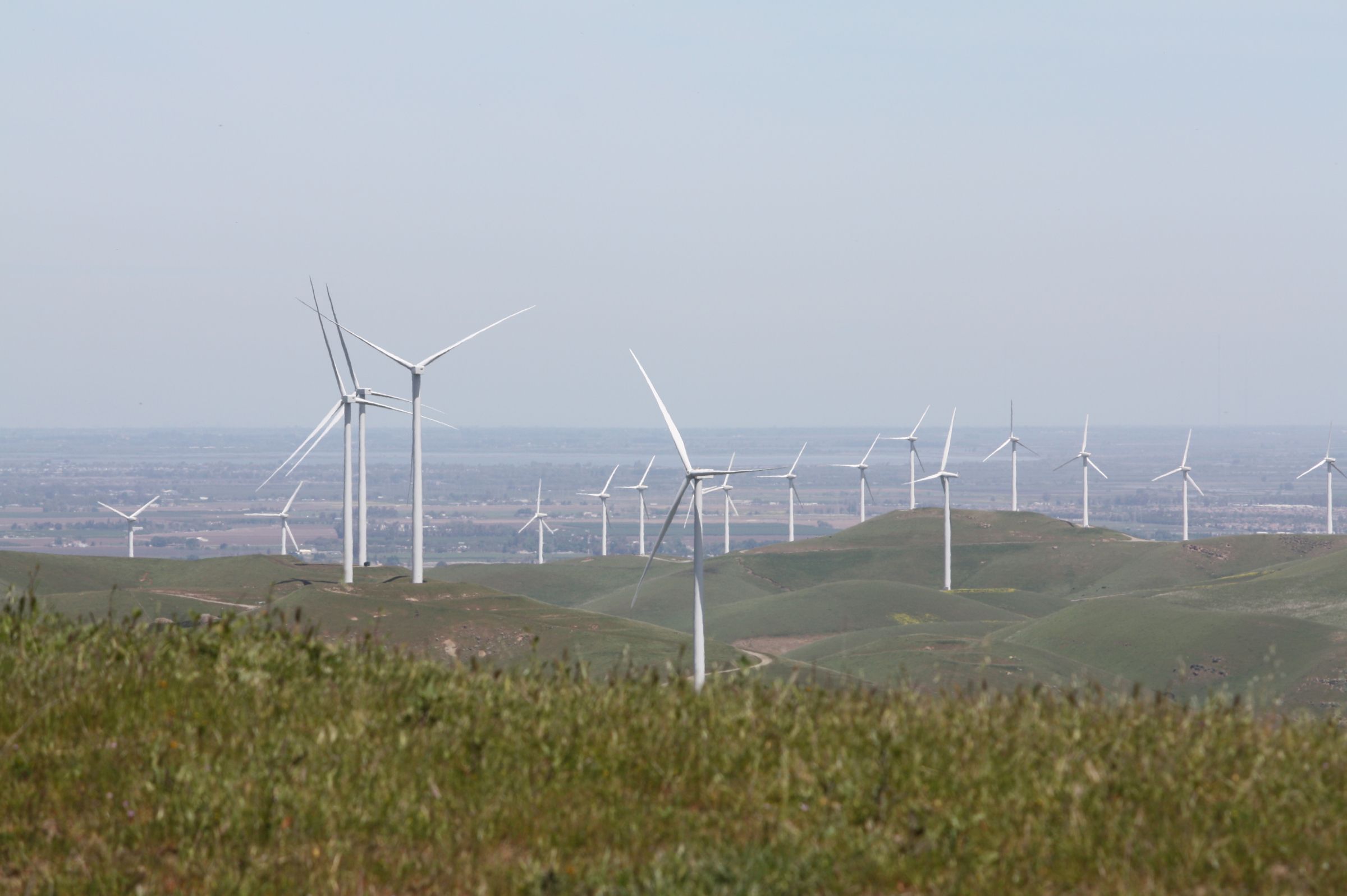 Wind Farm