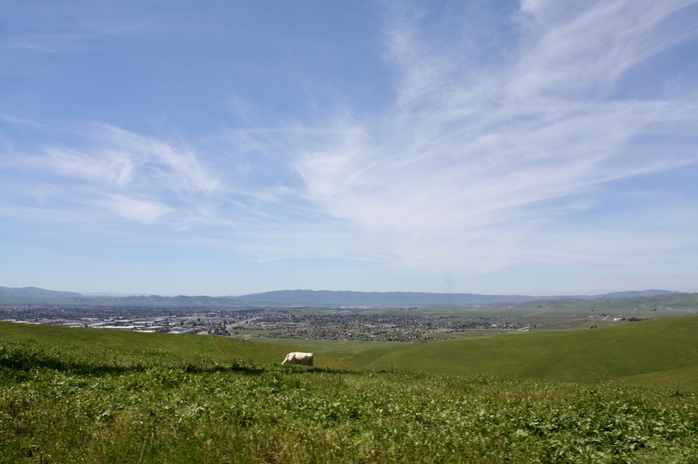 View Of The Valley From The Wind Farm