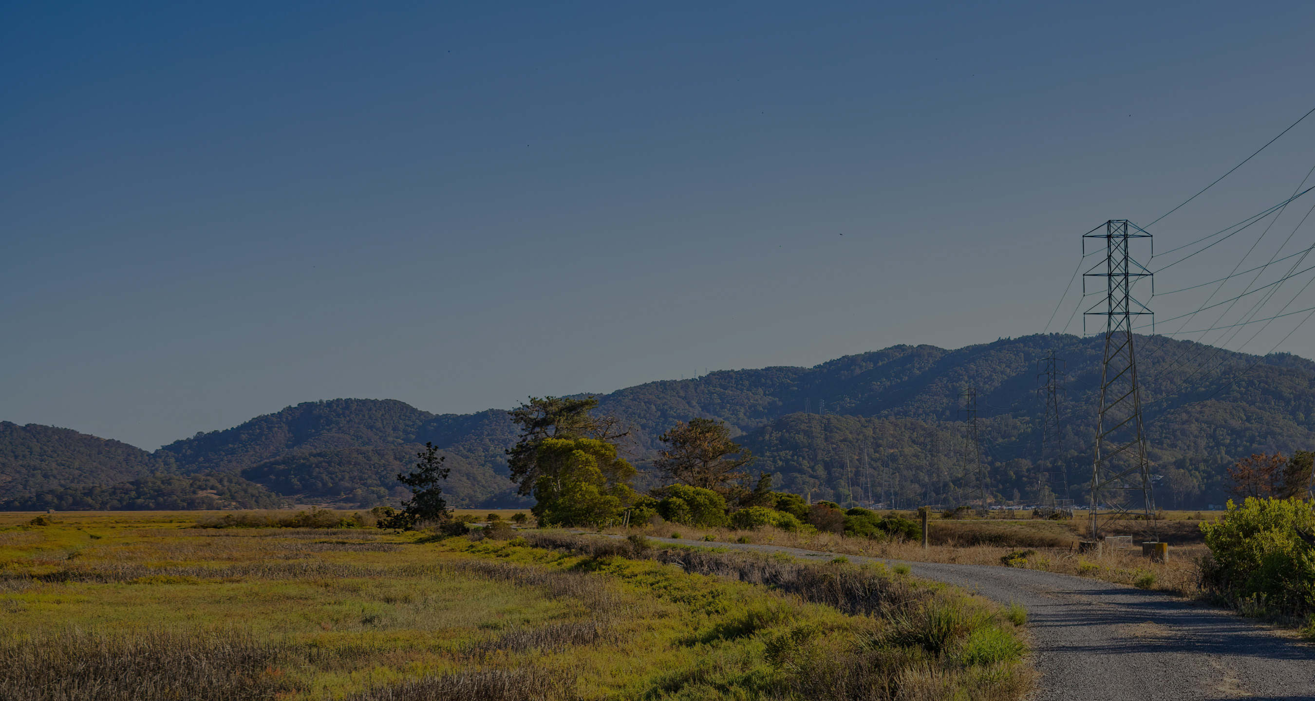 Bay Area landscape