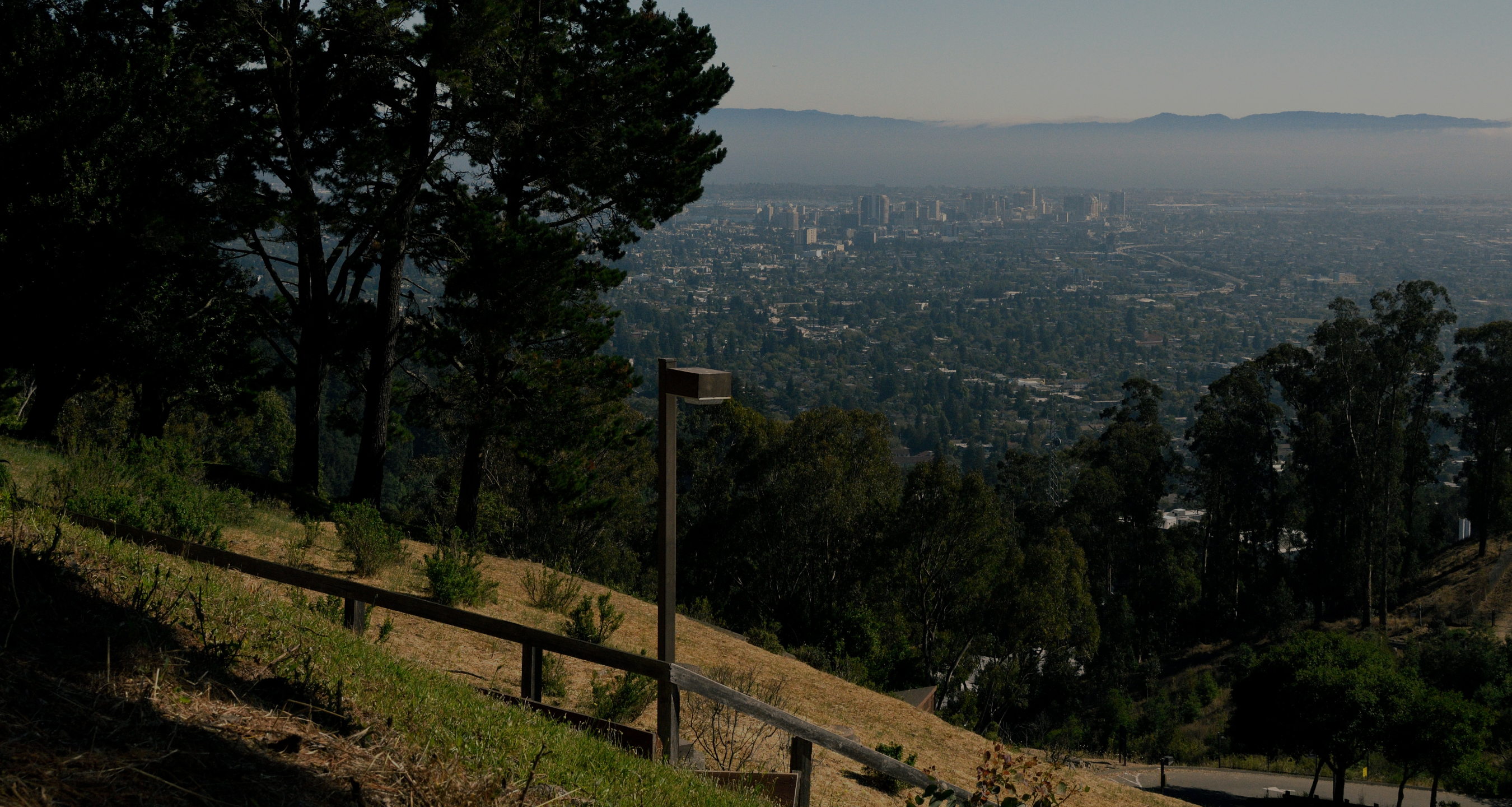 Berkeley cityscape