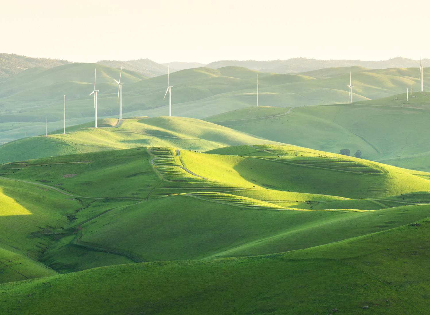 turbines in a field