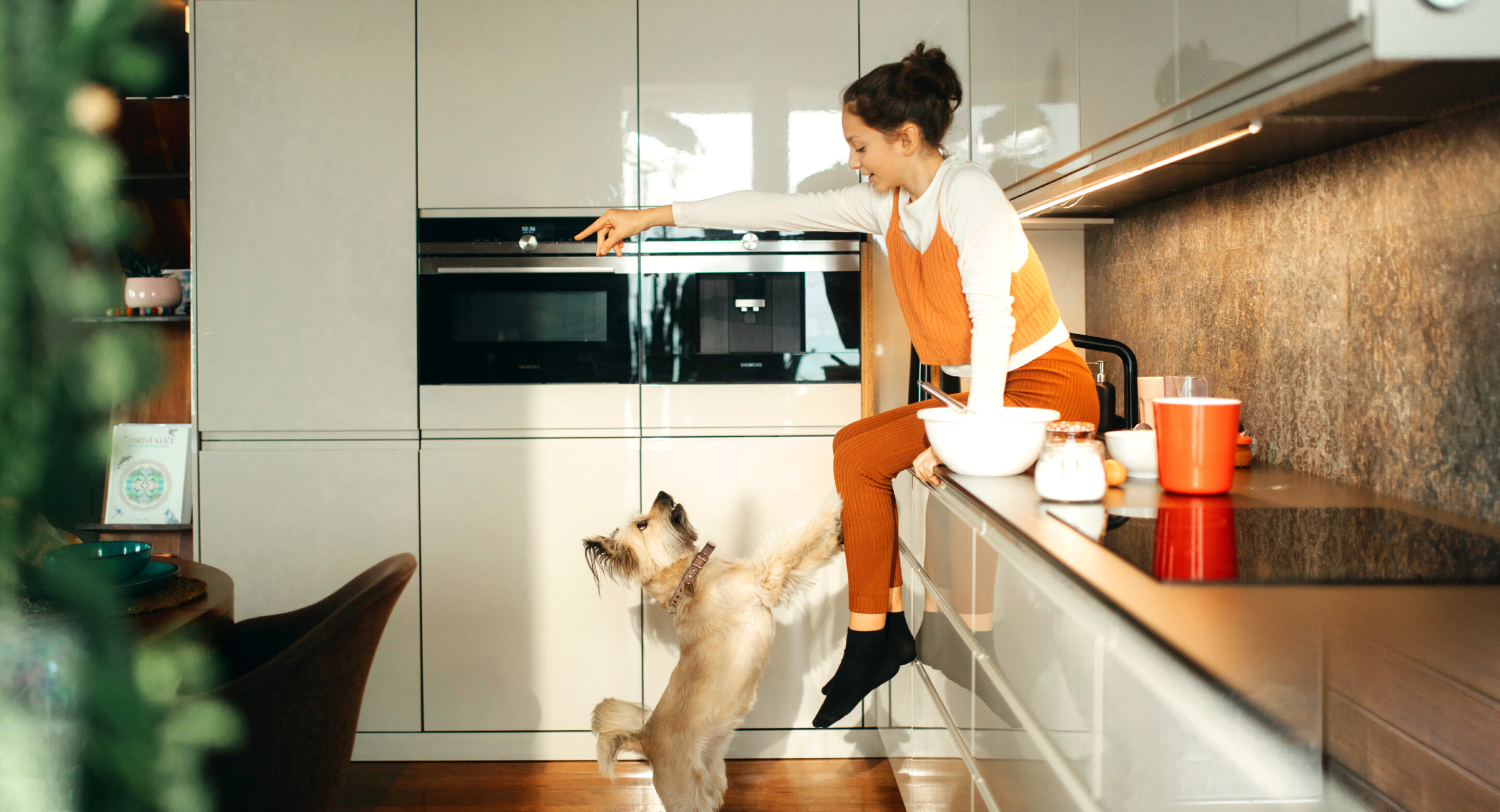 Woman playing with a dog