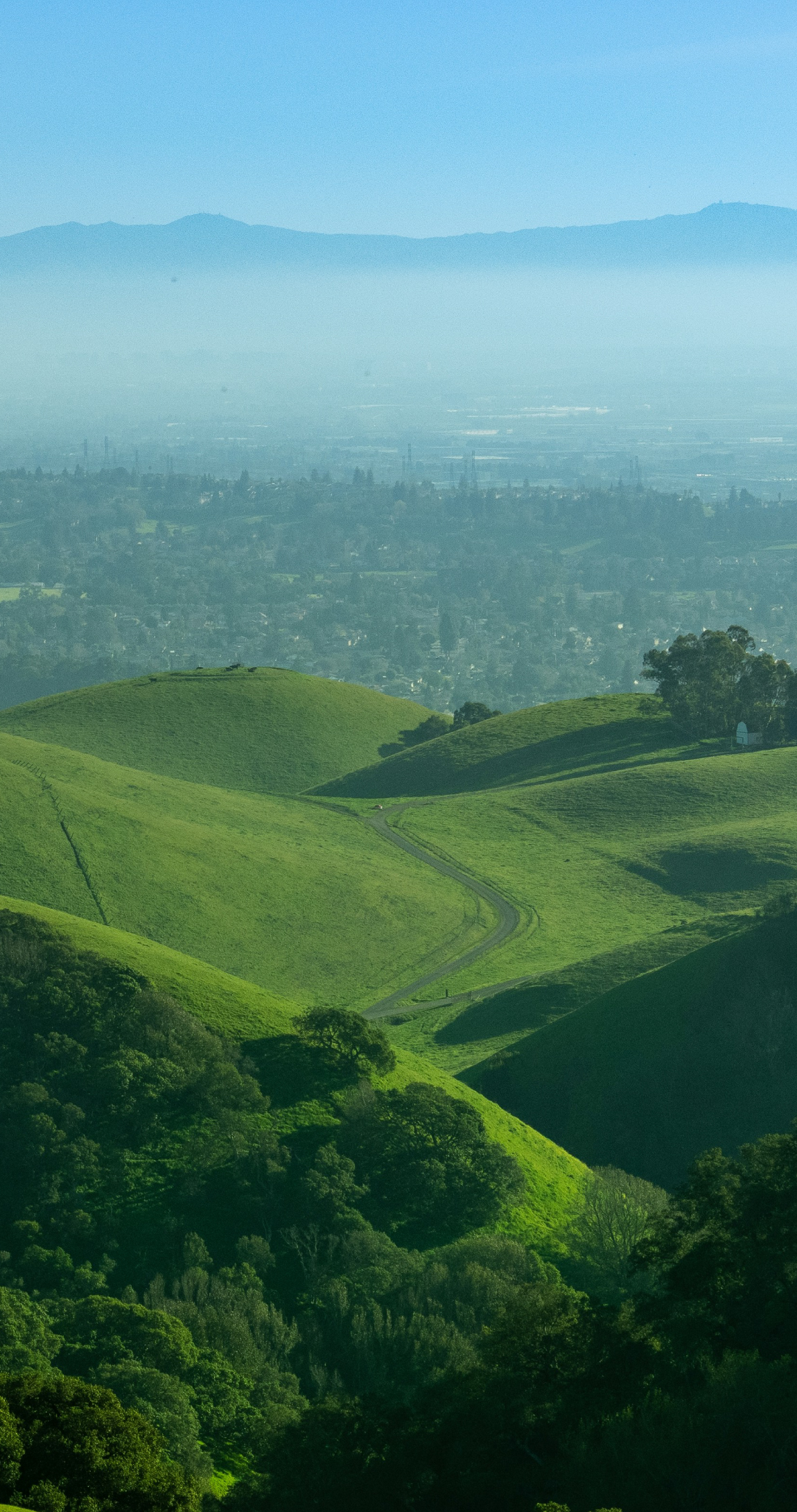 East Bay green hills