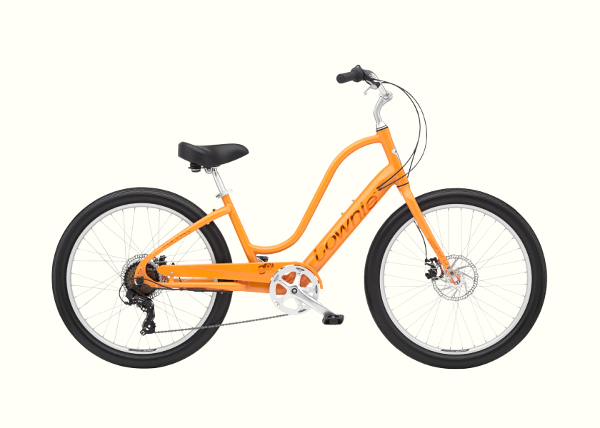 Standard E-Bike