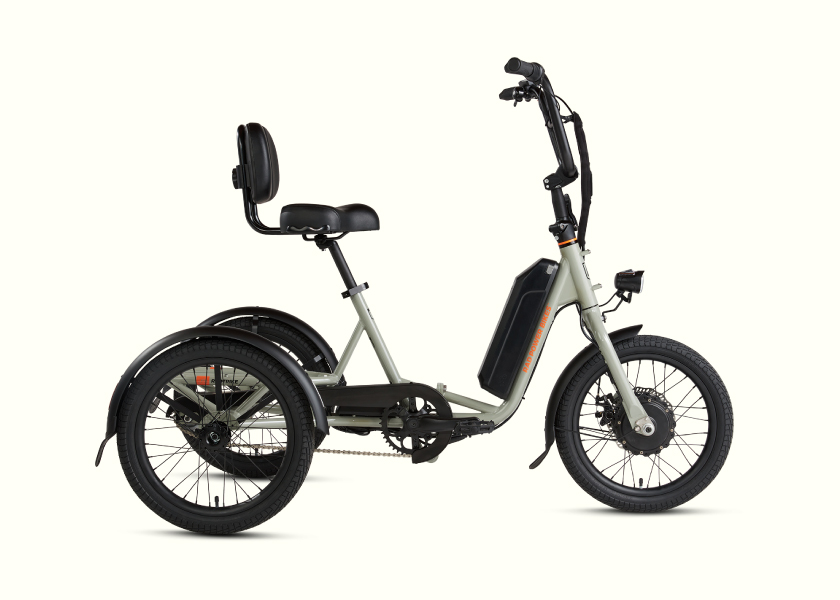 Adaptive E-Bike
