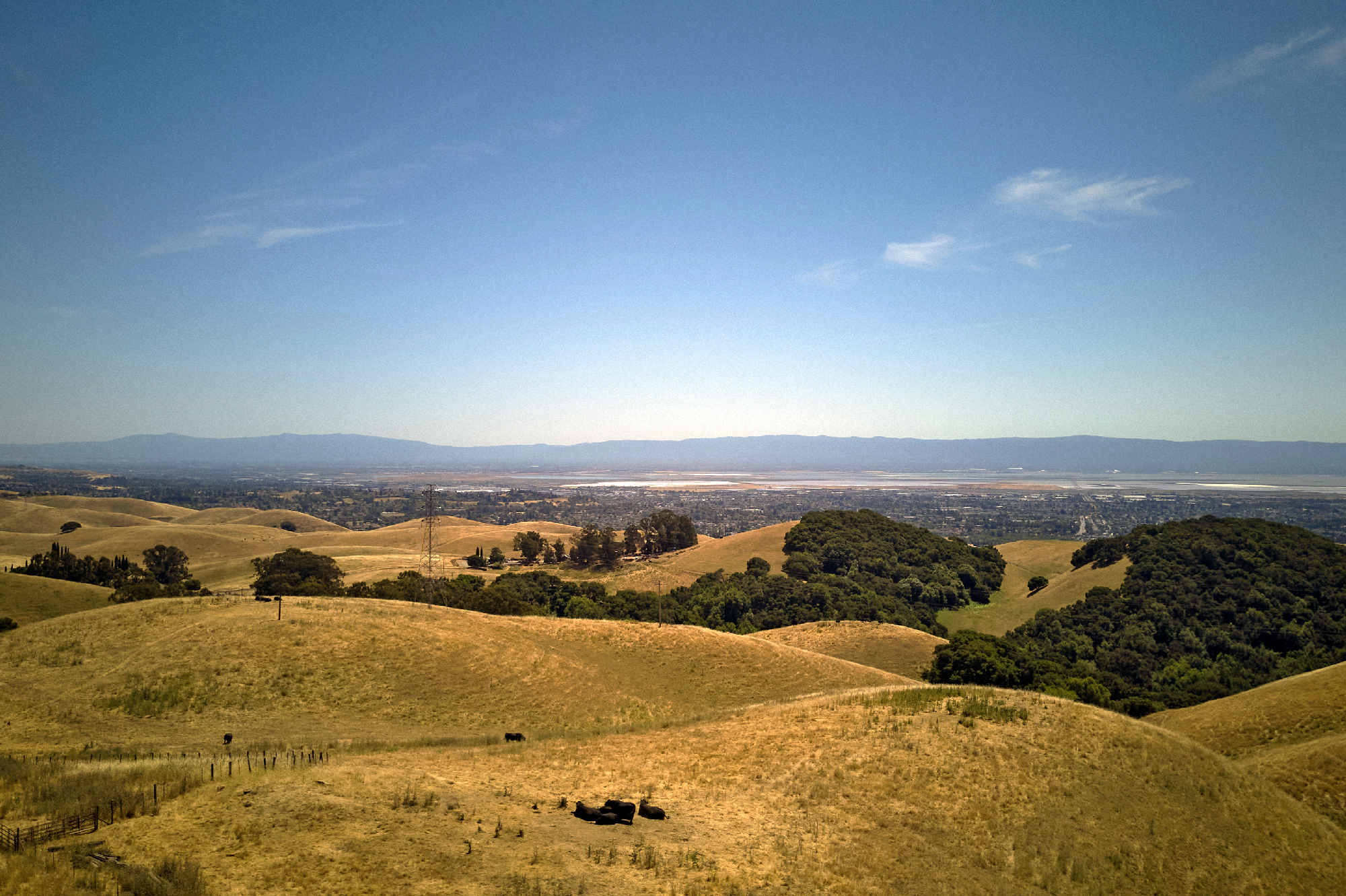 City skyline from Vargas Plateau regional park