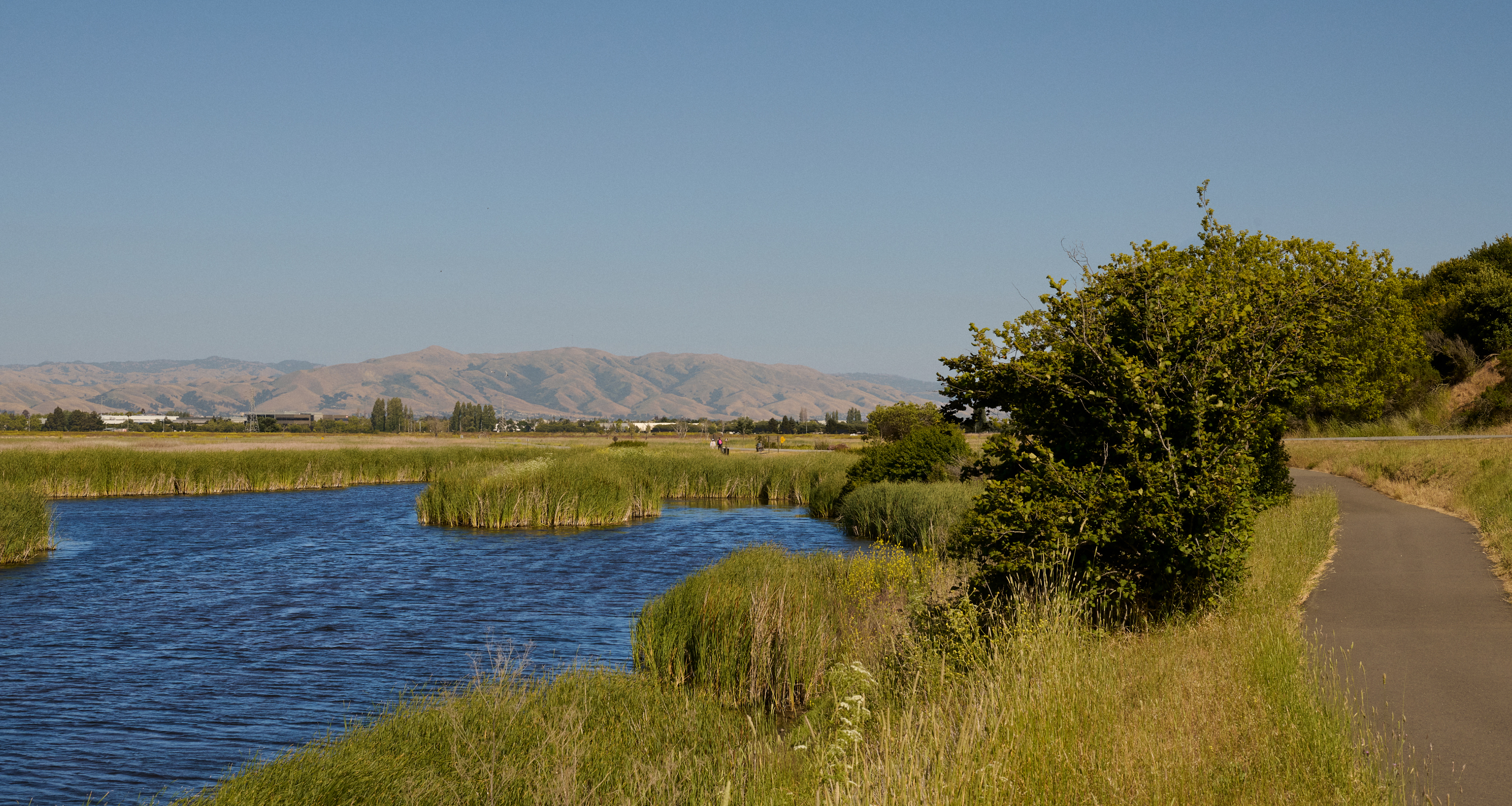 Coyote Hills regional park