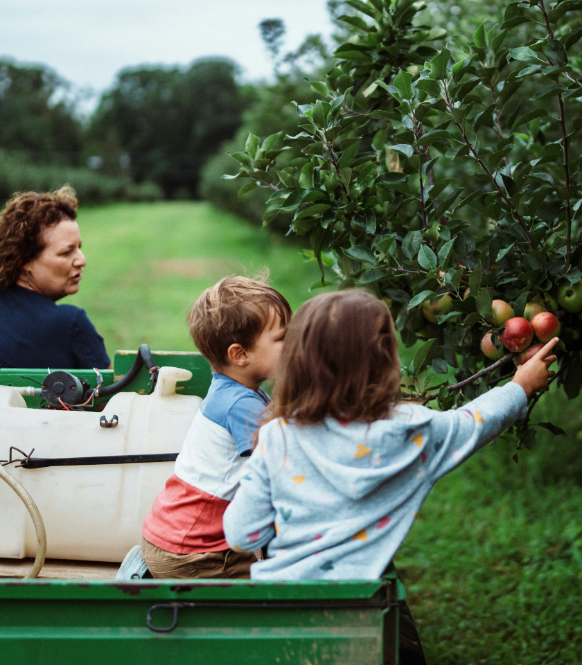 Woman with two children riding a tractor in an apple orchard