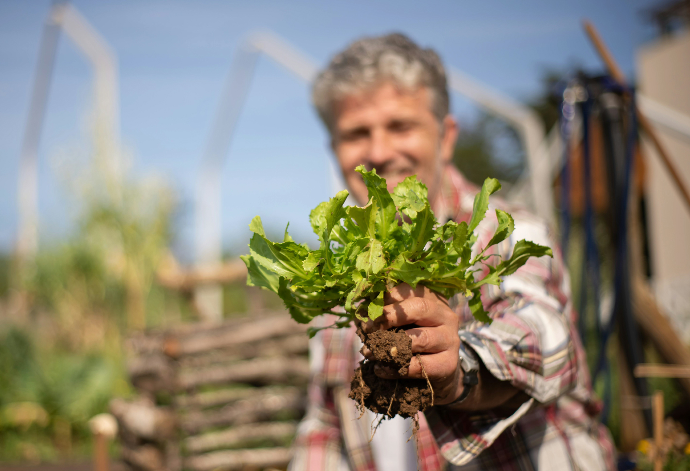 Farmer holding vegetable start
