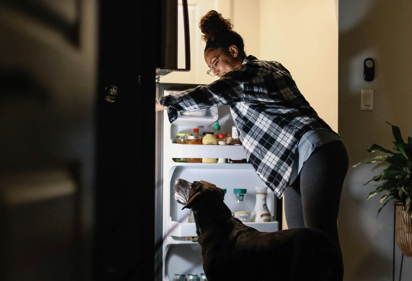 Woman with dog looking in fridge