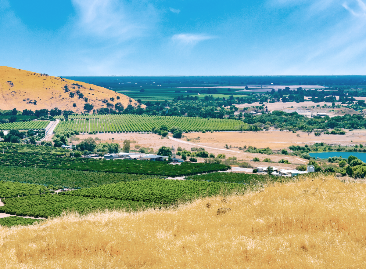 San Joaquin Valley landscape showing blue skies, farm buildings, and rows of trees