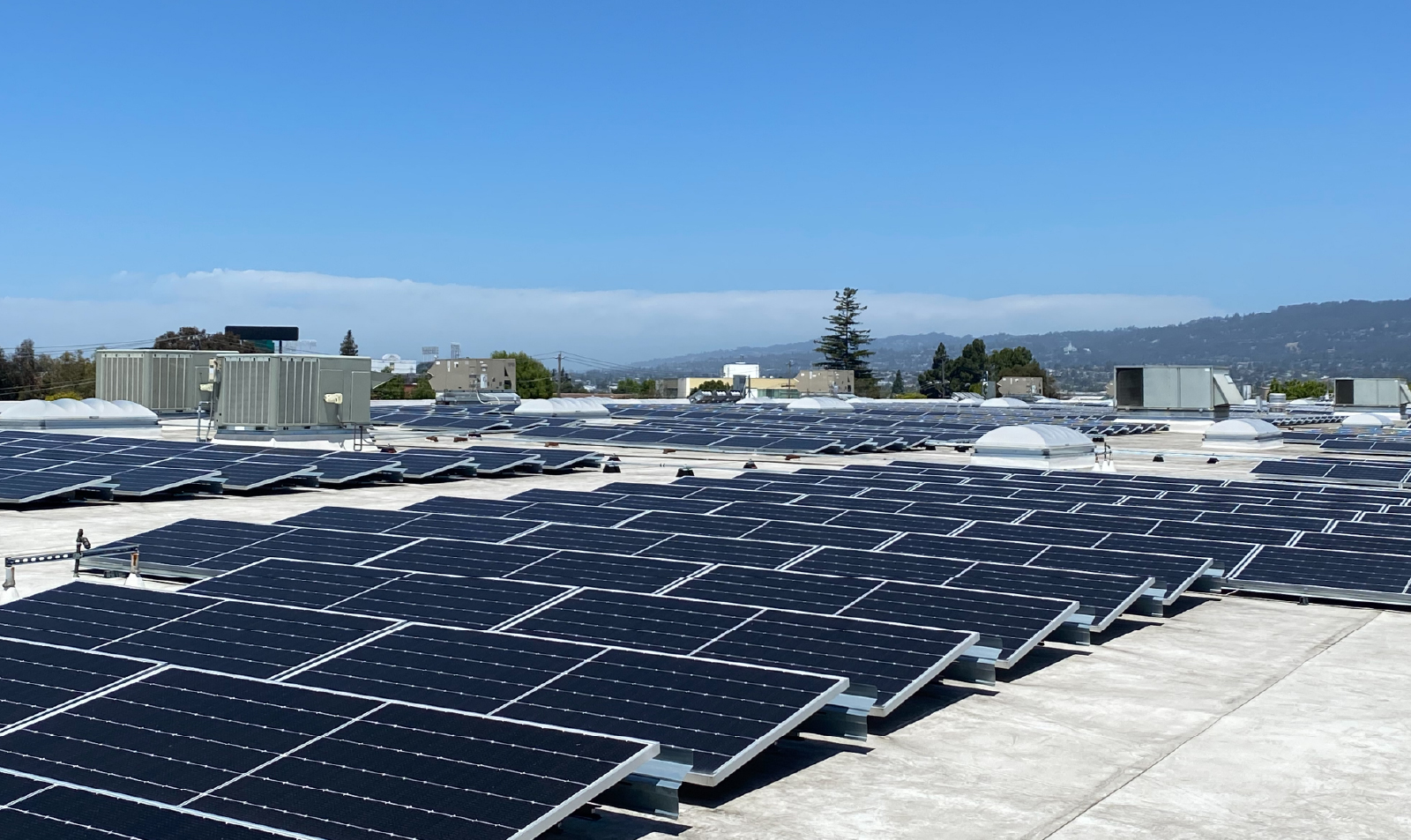 Solar Panels Spanning The Roof Of A Large Building