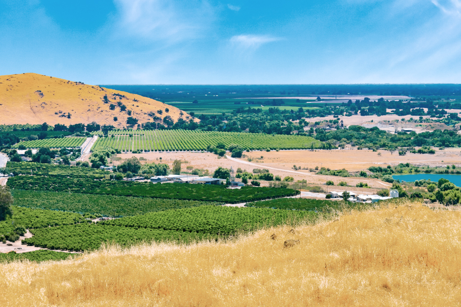San Joaquin County Landscape