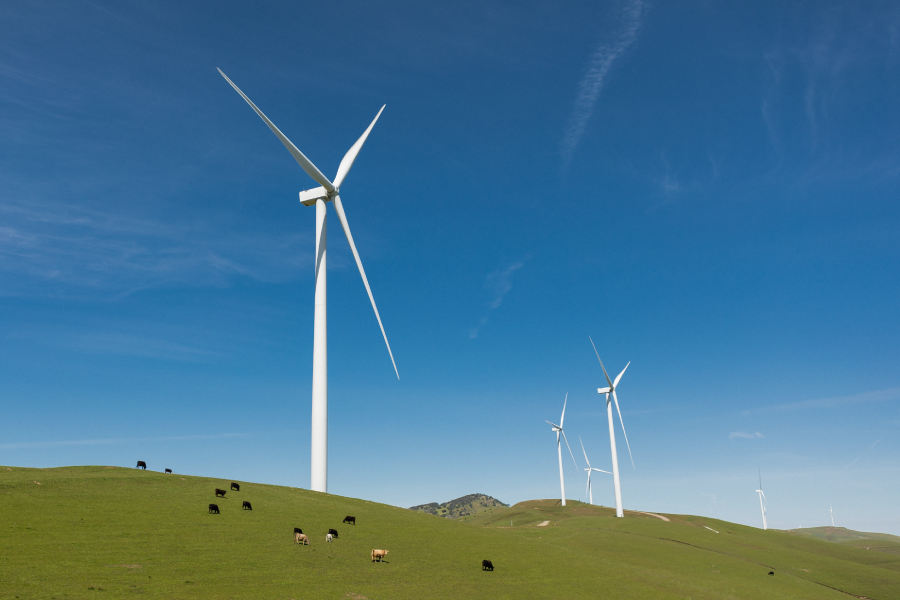 Wind Turbines At Scott Haggerty Wind Energy Center